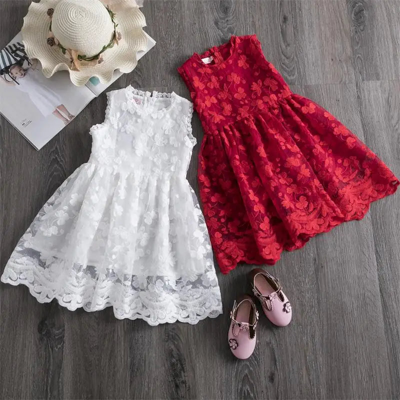 Pretty Lace Dress